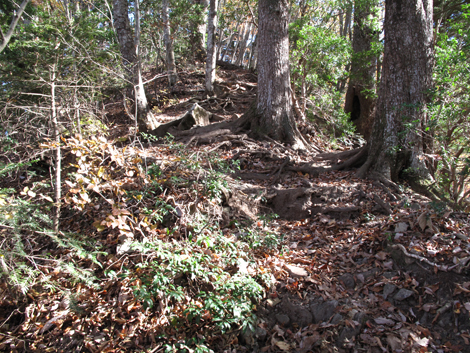 20171116hike (53)